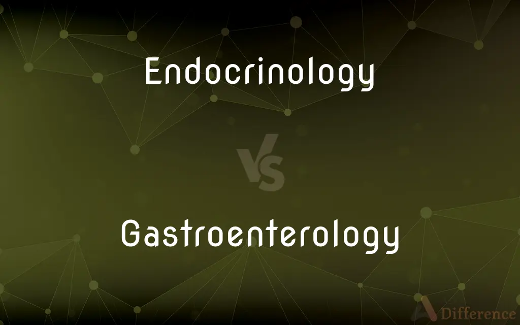 Endocrinology vs. Gastroenterology — What's the Difference?