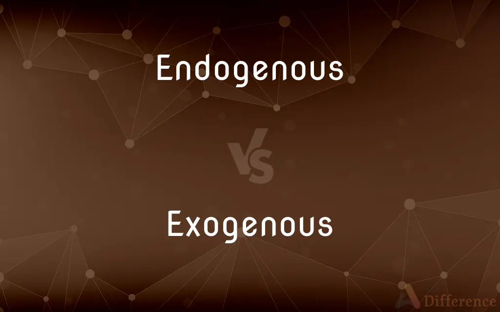 Endogenous vs. Exogenous — What's the Difference?