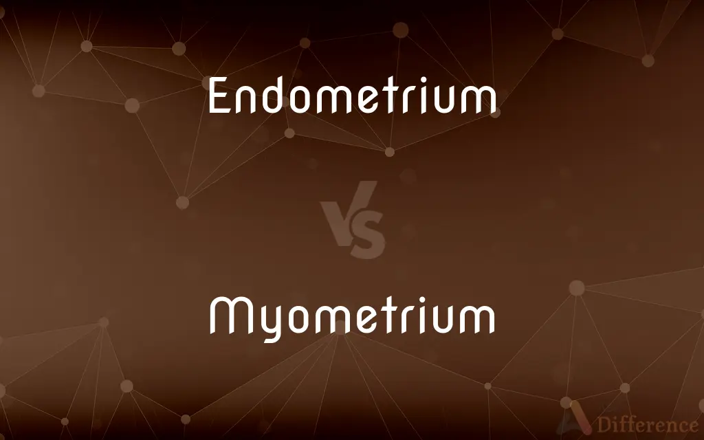 Endometrium vs. Myometrium — What's the Difference?