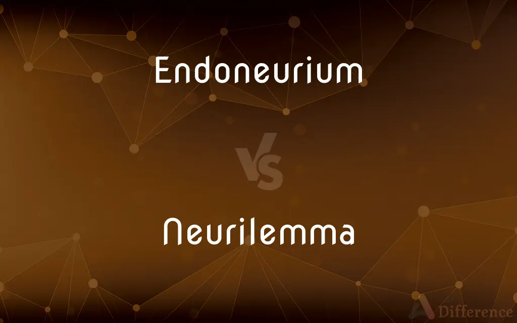 Endoneurium vs. Neurilemma — What's the Difference?