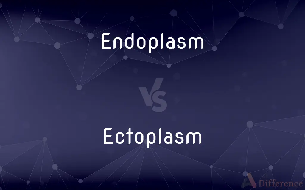 Endoplasm vs. Ectoplasm — What's the Difference?