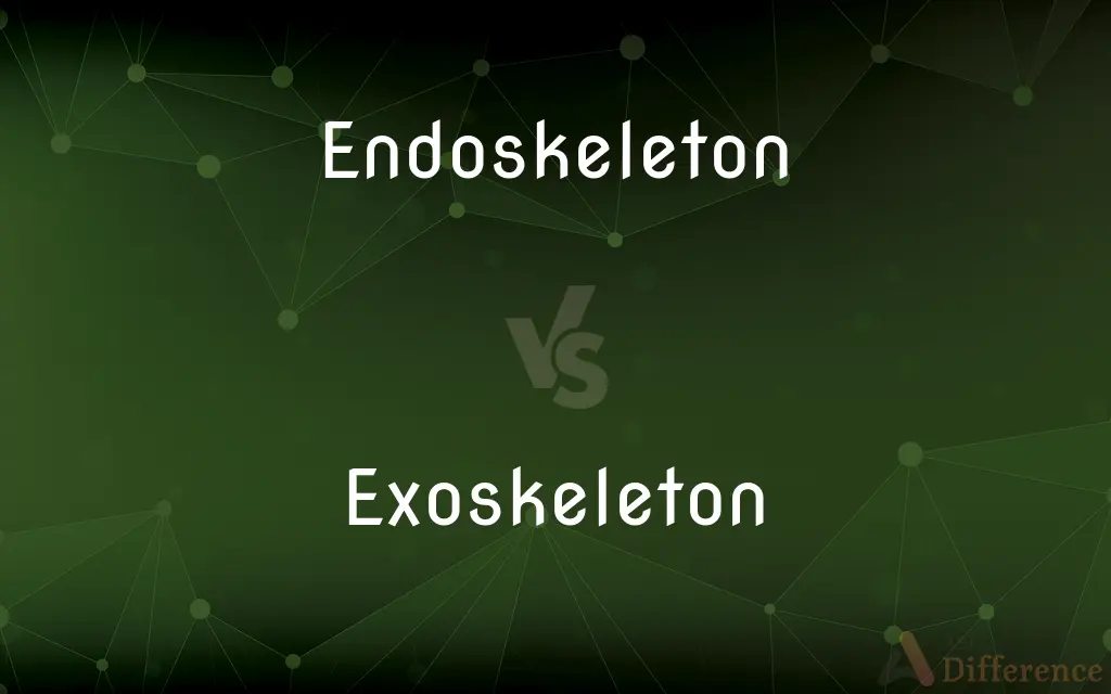 Endoskeleton vs. Exoskeleton — What's the Difference?