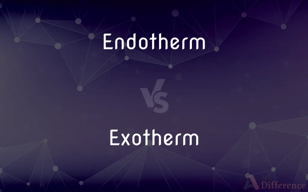 Endotherm vs. Exotherm — What's the Difference?