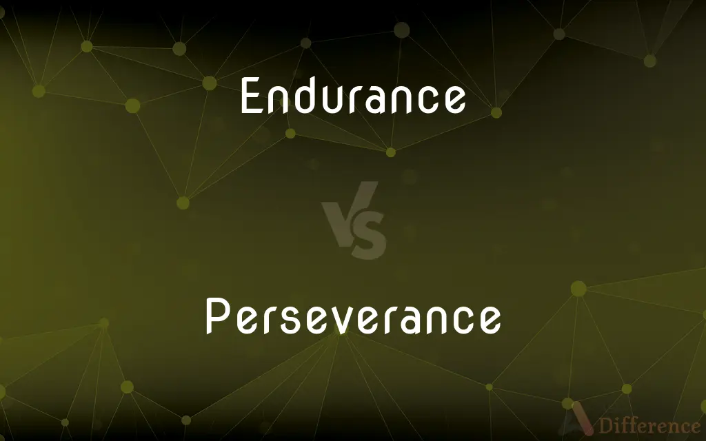 Endurance vs. Perseverance — What's the Difference?