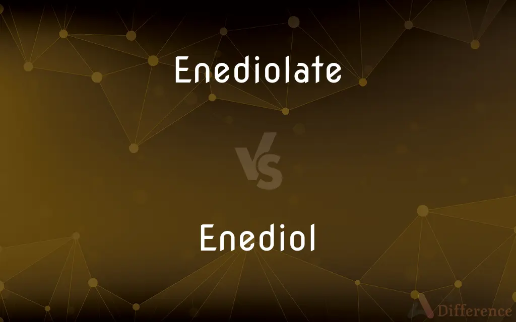 Enediolate vs. Enediol — What's the Difference?