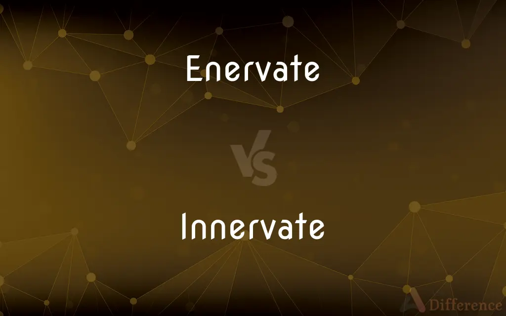 Enervate vs. Innervate — What's the Difference?