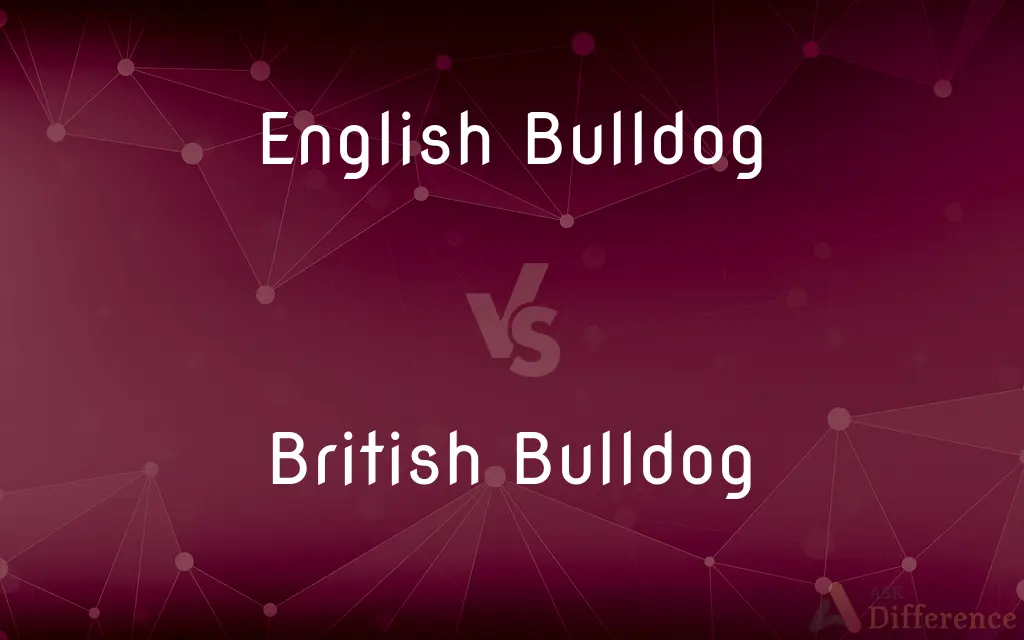 English Bulldog vs. British Bulldog — What's the Difference?