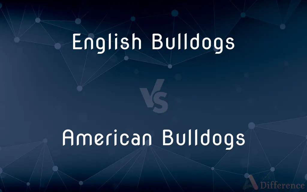 English Bulldogs vs. American Bulldogs — What's the Difference?