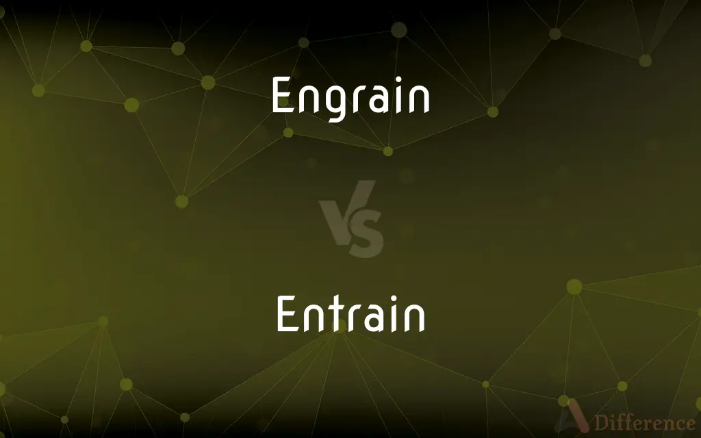 Engrain vs. Entrain — What's the Difference?