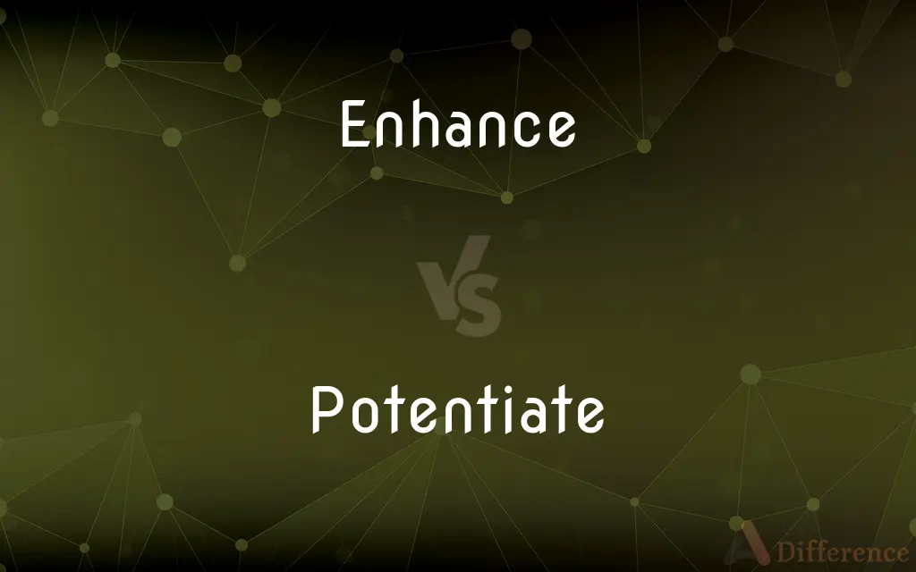 Enhance vs. Potentiate — What's the Difference?