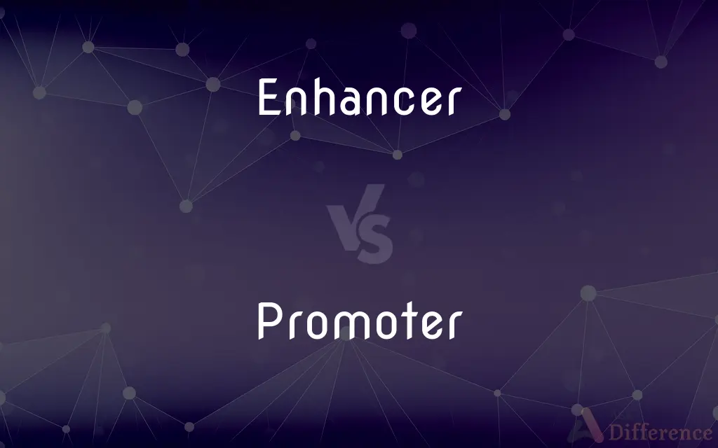 Enhancer vs. Promoter — What's the Difference?