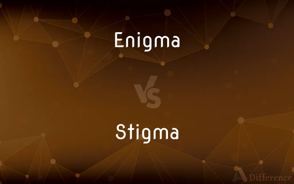 Enigma vs. Stigma — What's the Difference?