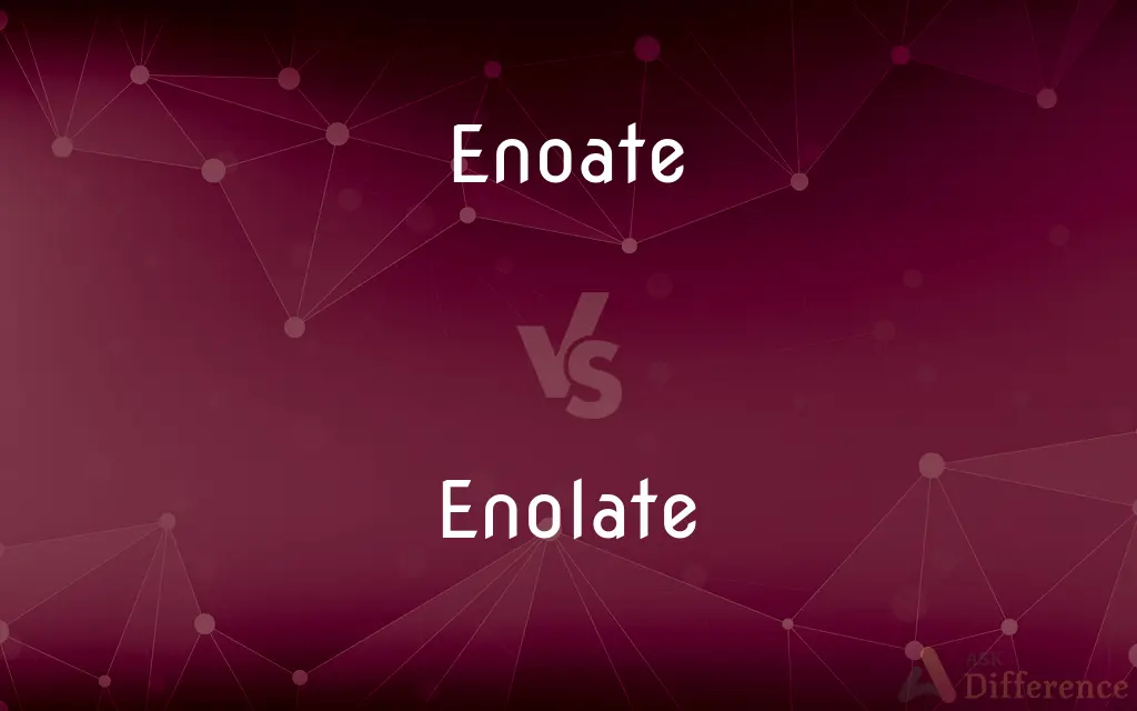 Enoate vs. Enolate — What's the Difference?