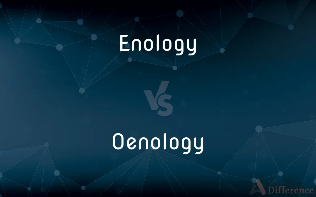 Enology vs. Oenology — What's the Difference?