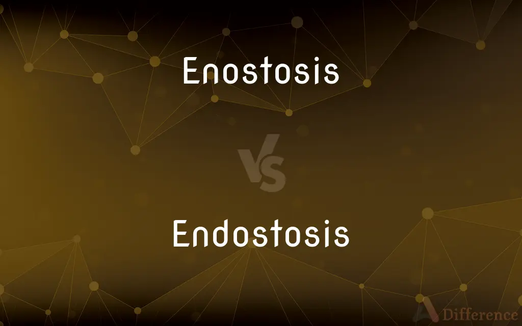 Enostosis vs. Endostosis — What's the Difference?