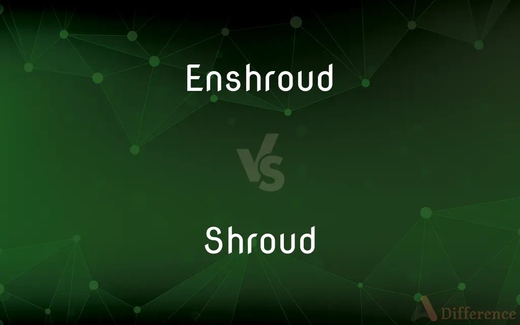 Enshroud vs. Shroud — What's the Difference?