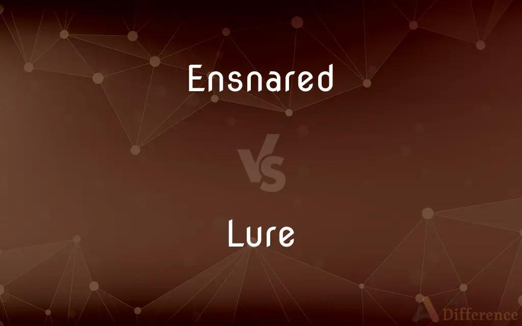Ensnared vs. Lure — What's the Difference?