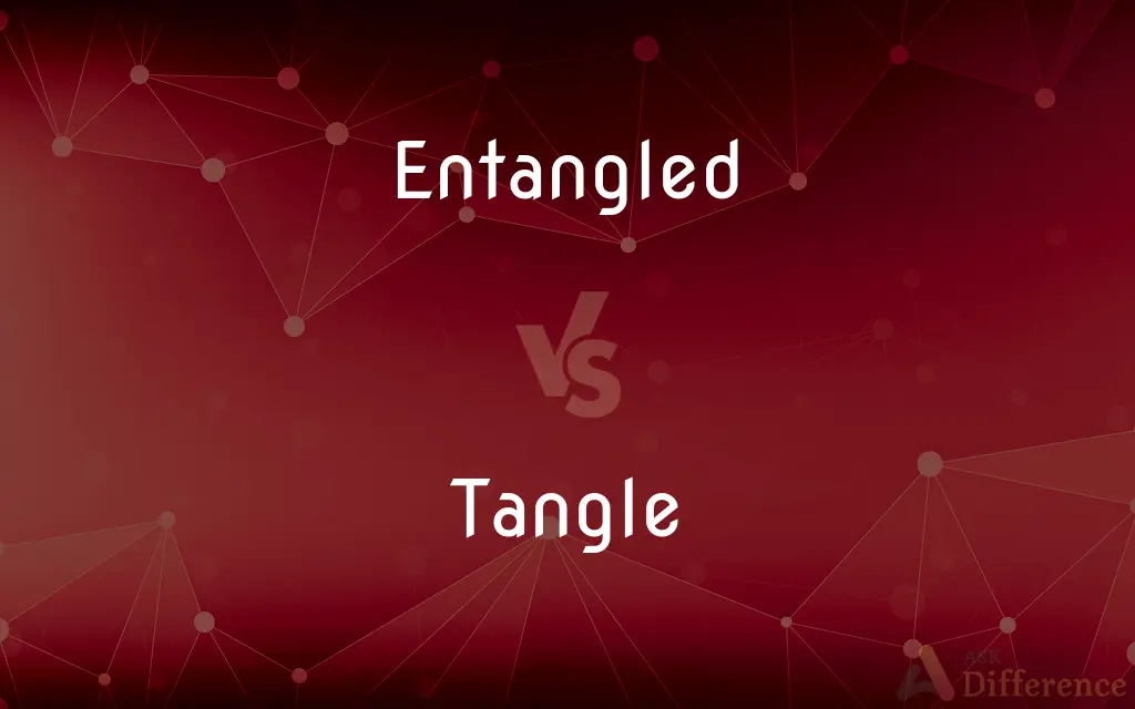 Entangled vs. Tangle — What's the Difference?