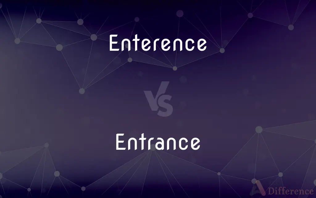 Enterence vs. Entrance — Which is Correct Spelling?