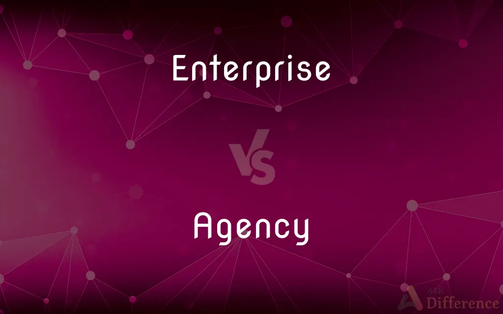 Enterprise vs. Agency — What's the Difference?