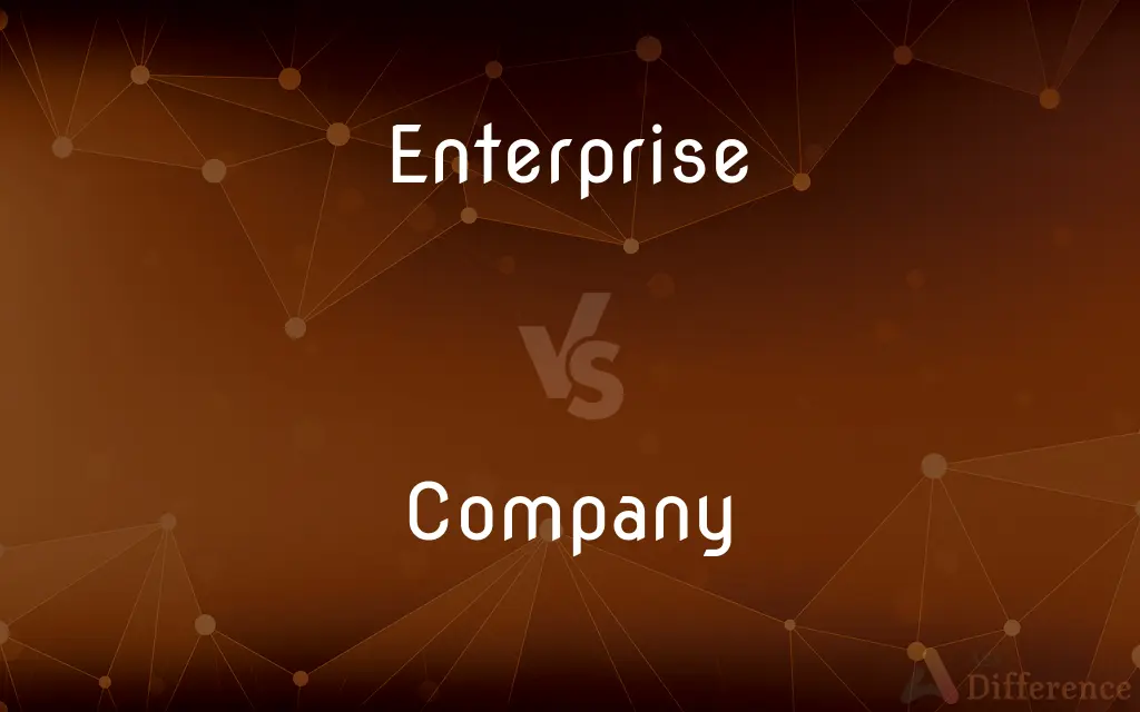 Enterprise vs. Company — What's the Difference?