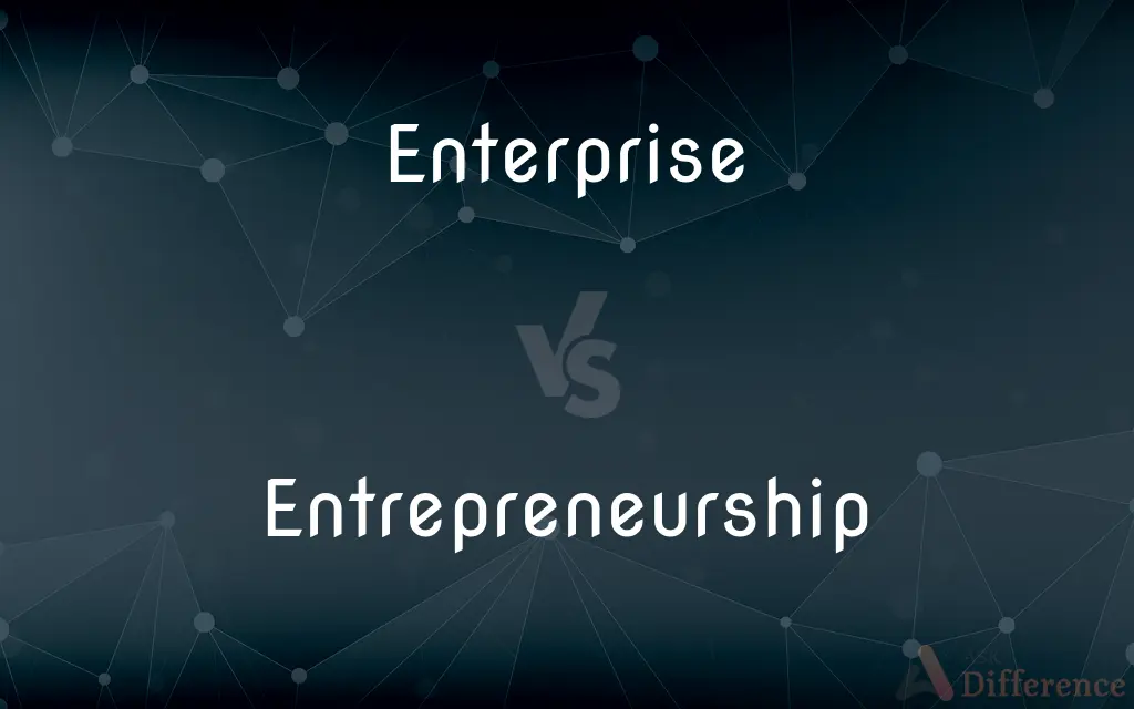 Enterprise vs. Entrepreneurship — What's the Difference?