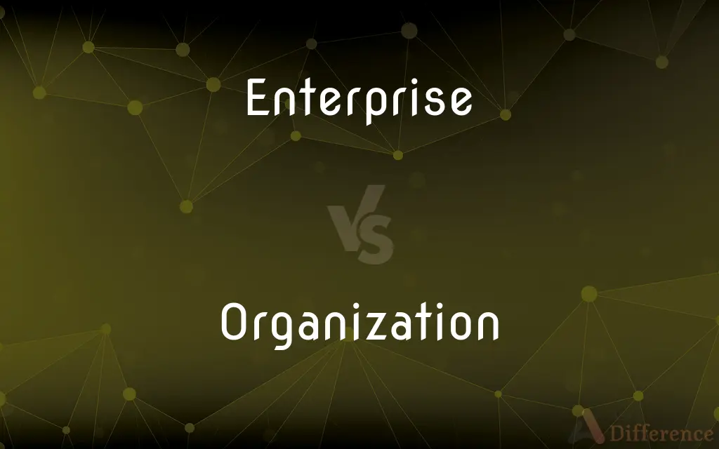 Enterprise vs. Organization — What's the Difference?