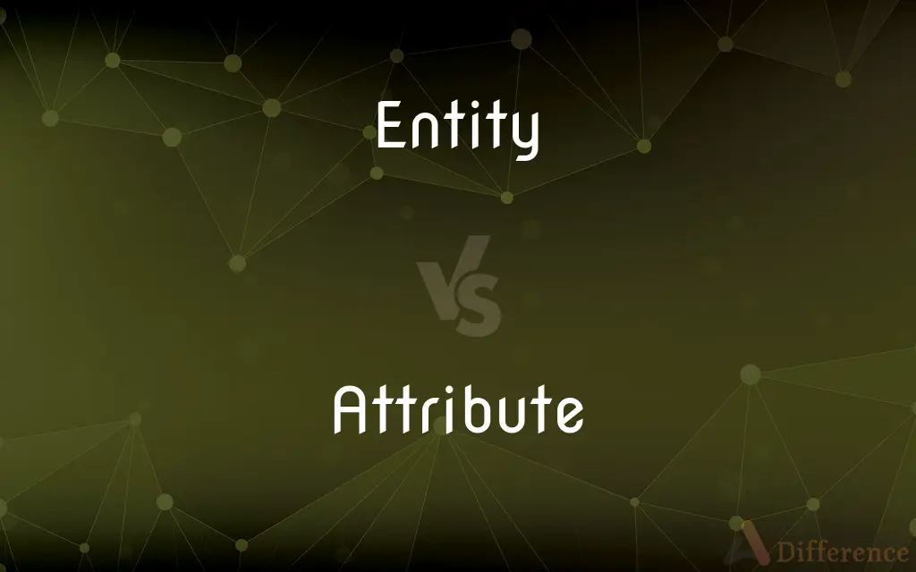 Entity vs. Attribute — What's the Difference?