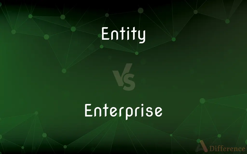 Entity vs. Enterprise — What's the Difference?
