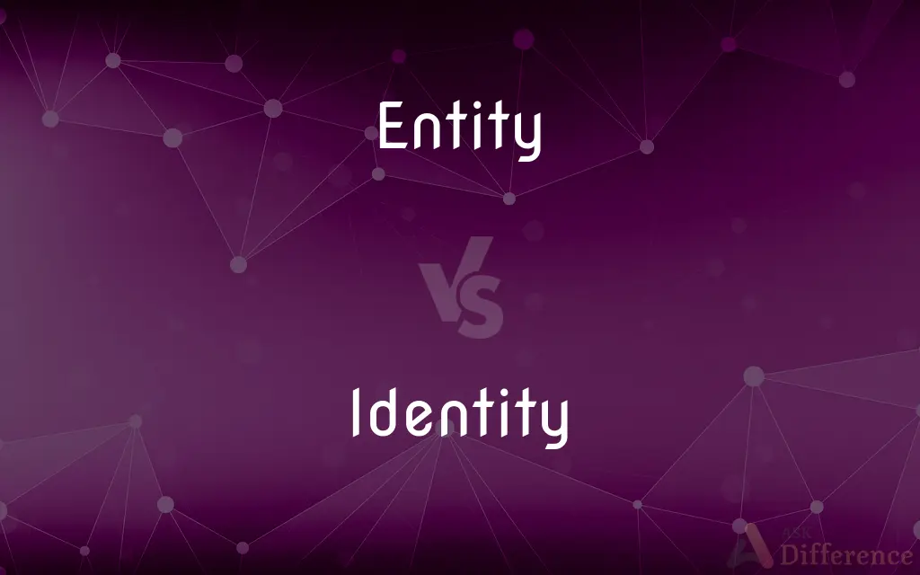 Entity vs. Identity — What's the Difference?