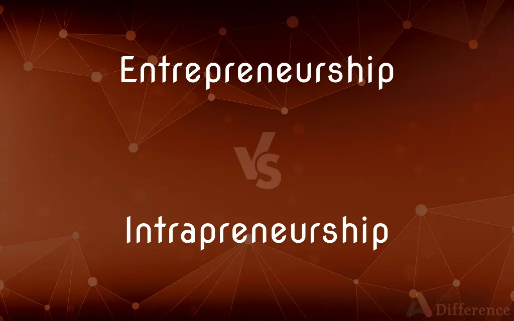 Entrepreneurship vs. Intrapreneurship