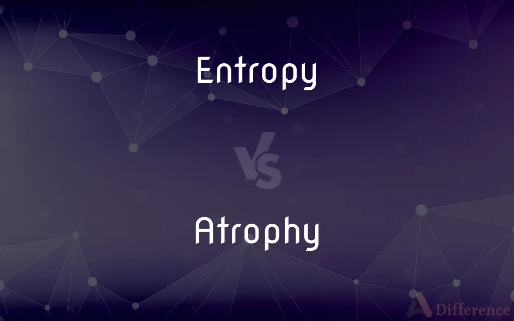 Entropy vs. Atrophy — What's the Difference?