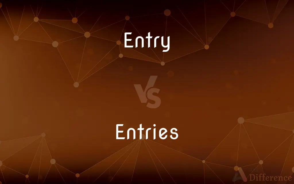 Entry vs. Entries — What's the Difference?
