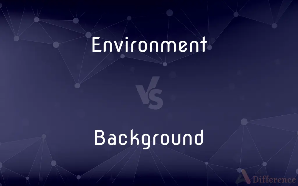 Environment vs. Background — What's the Difference?