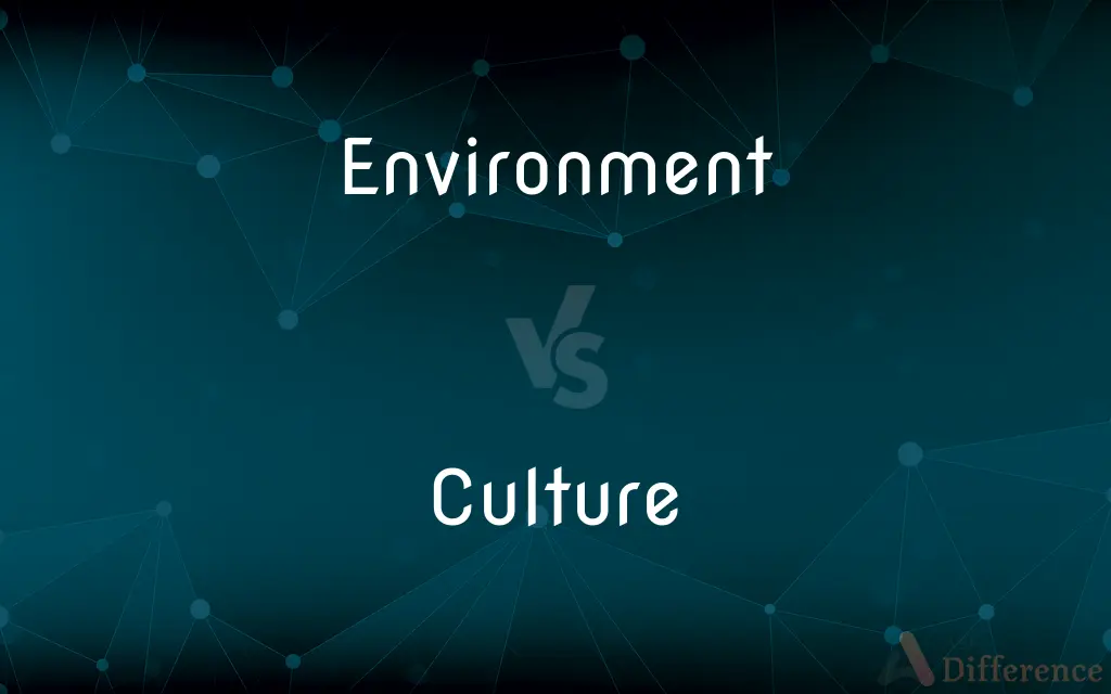 Environment vs. Culture — What's the Difference?