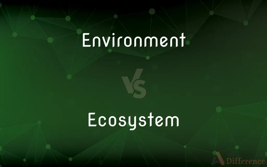 Environment vs. Ecosystem — What's the Difference?