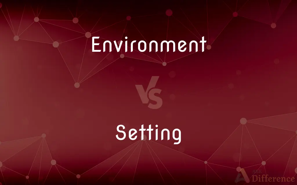 Environment vs. Setting — What's the Difference?