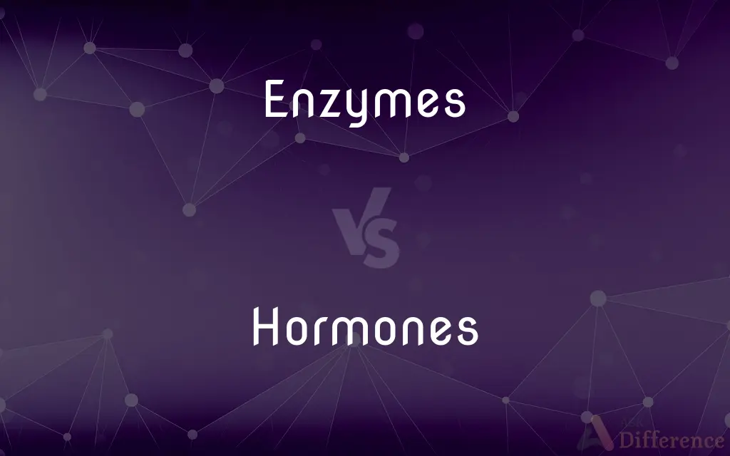 Enzymes vs. Hormones — What's the Difference?