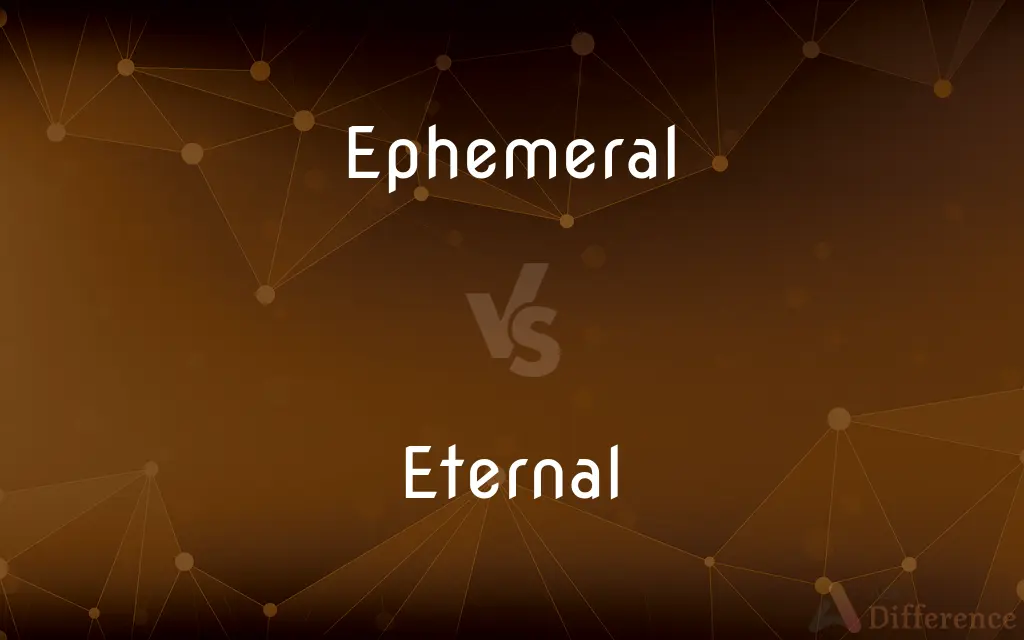 Ephemeral vs. Eternal — What's the Difference?