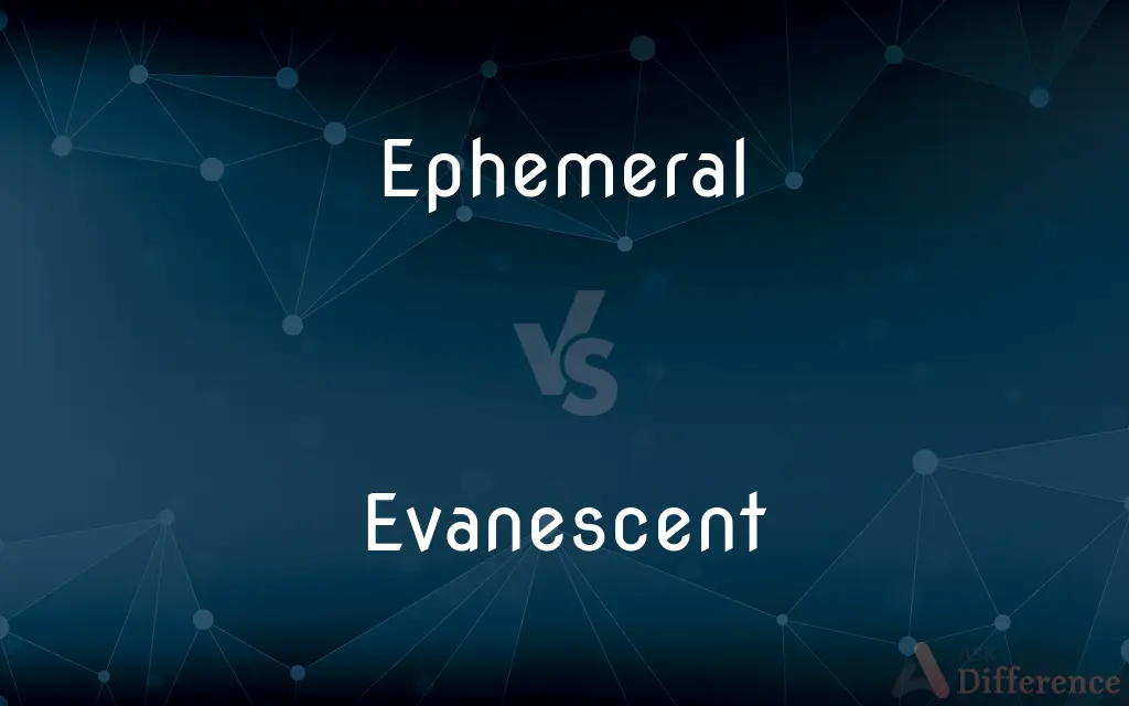 Ephemeral vs. Evanescent — What's the Difference?