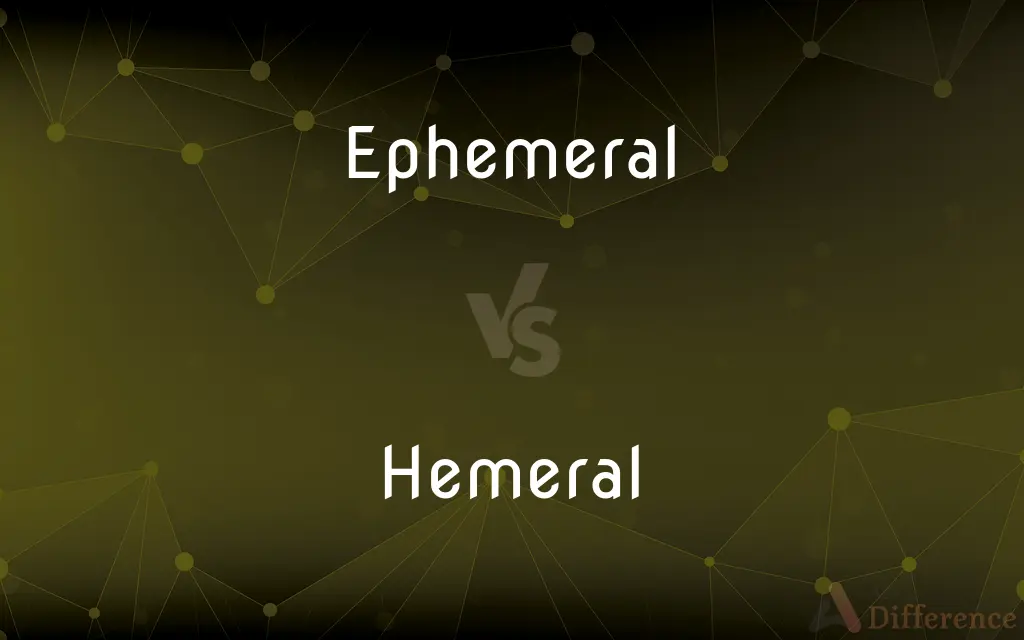 Ephemeral vs. Hemeral — What's the Difference?