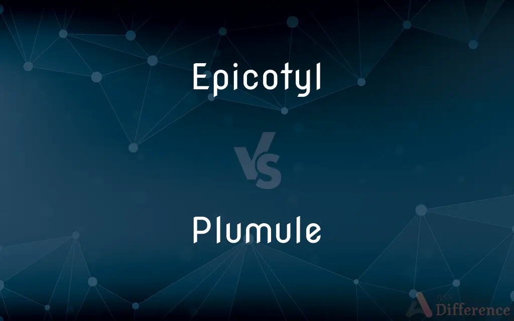 Epicotyl vs. Plumule — What's the Difference?