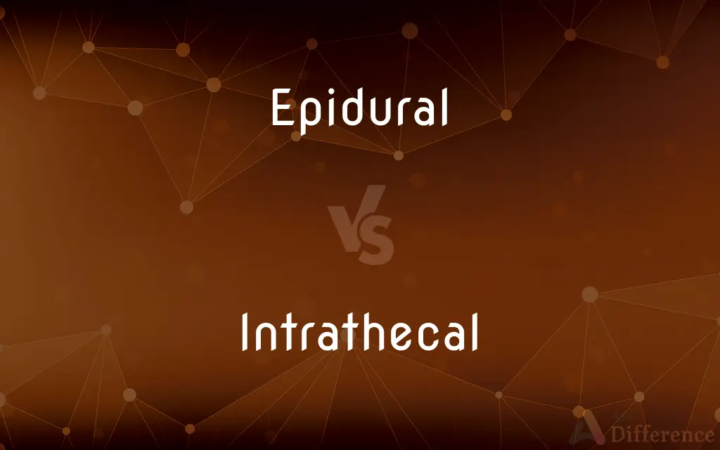 Epidural vs. Intrathecal — What's the Difference?