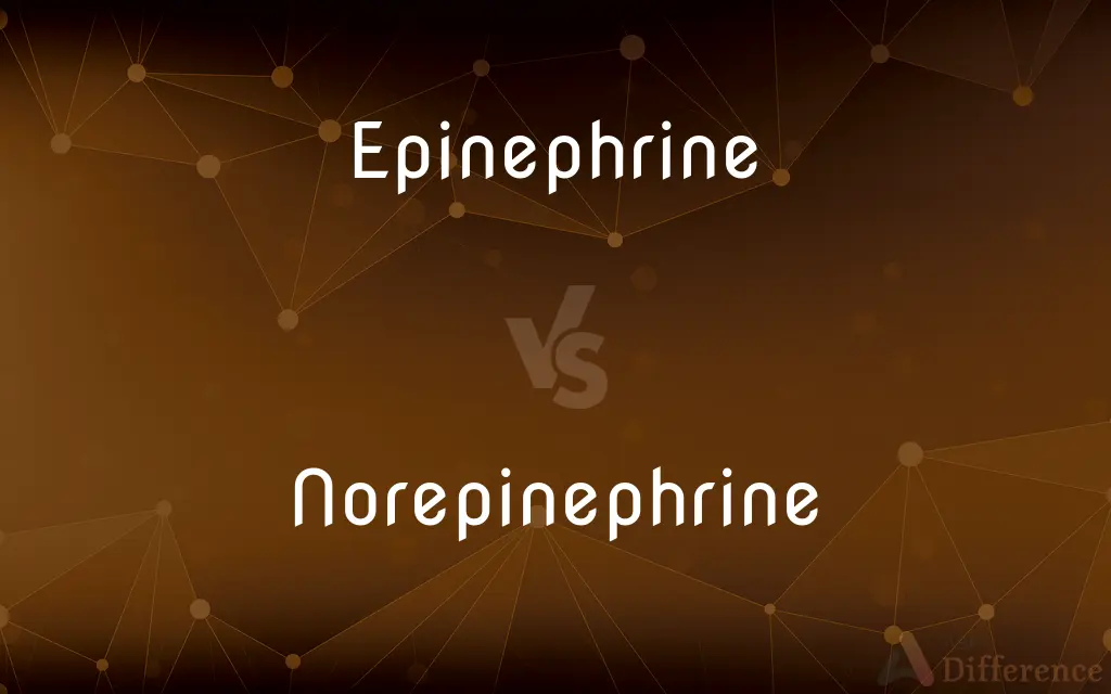 Epinephrine vs. Norepinephrine — What's the Difference?