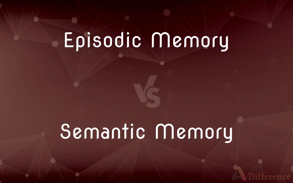 Episodic Memory vs. Semantic Memory — What's the Difference?