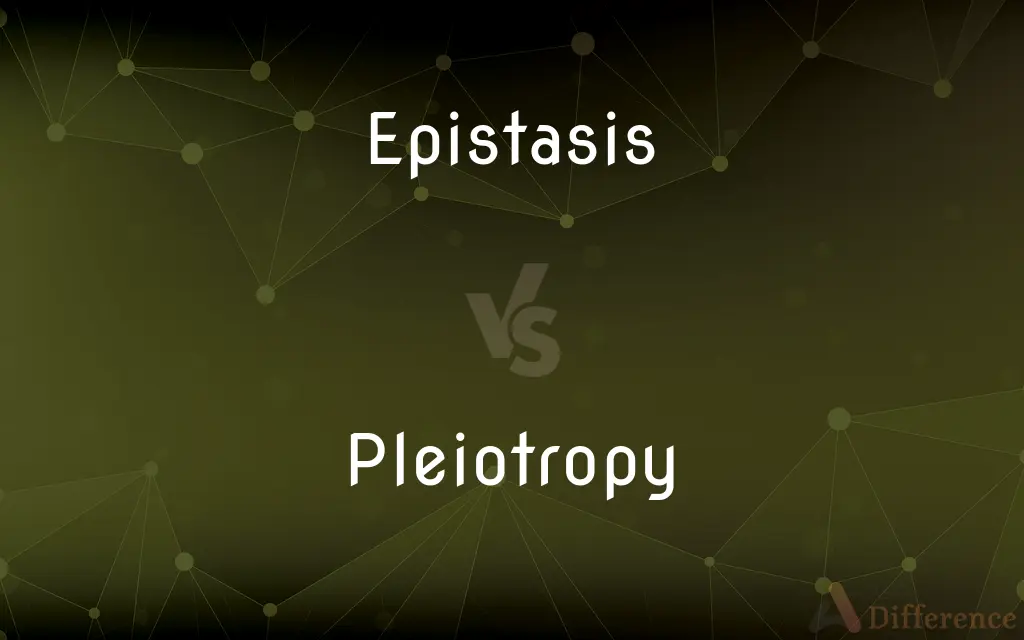 Epistasis vs. Pleiotropy — What's the Difference?