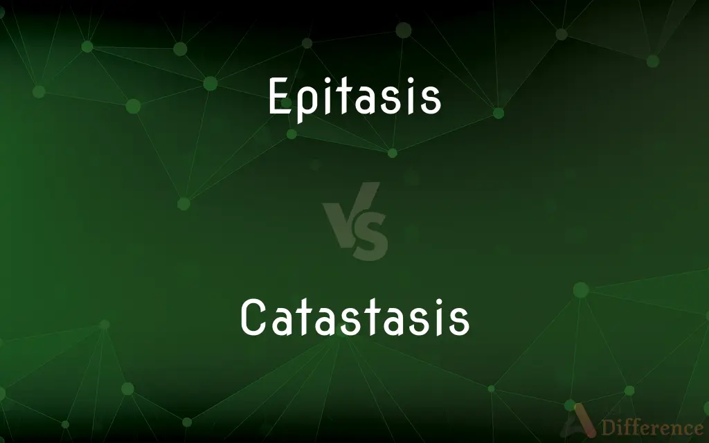 Epitasis vs. Catastasis — What's the Difference?