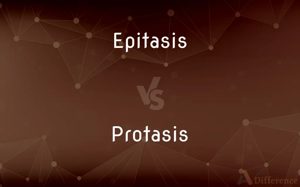 Epitasis vs. Protasis — What's the Difference?