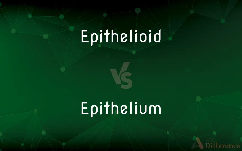 Epithelioid vs. Epithelium