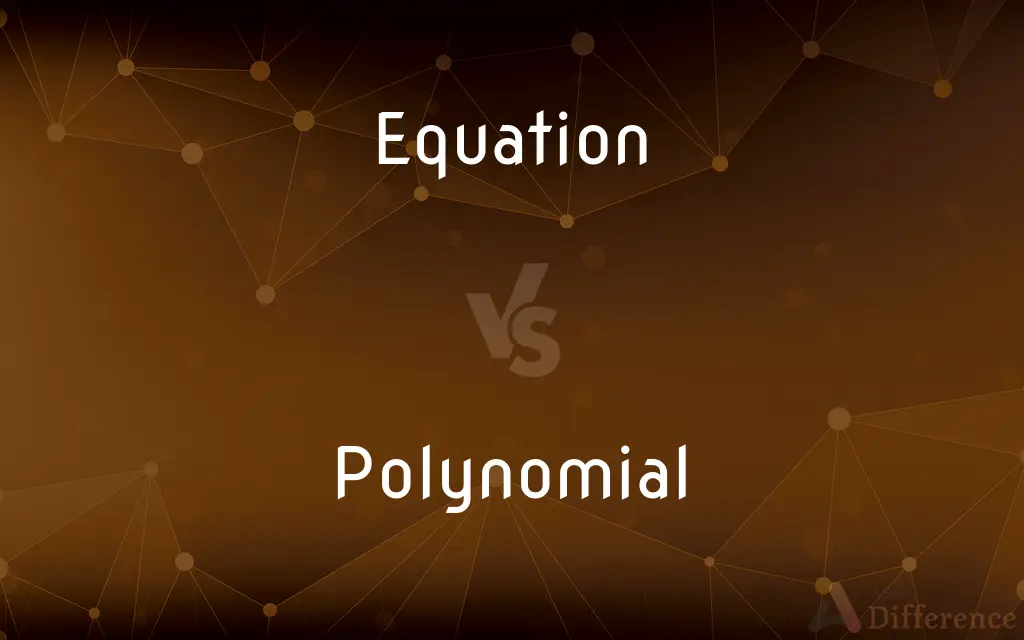 Equation vs. Polynomial — What's the Difference?